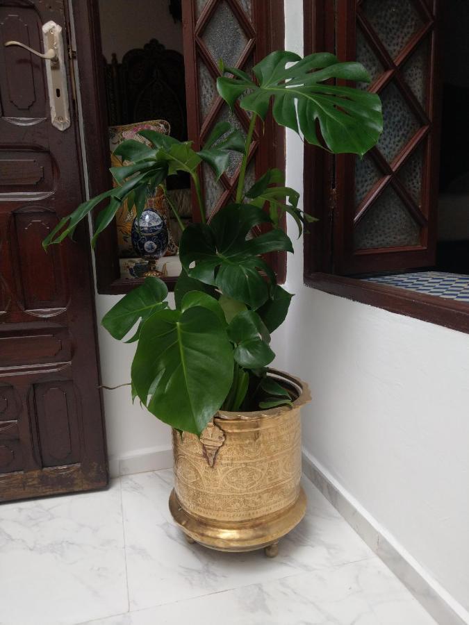 Hotel Riad Al Arar Rabat Exterior foto